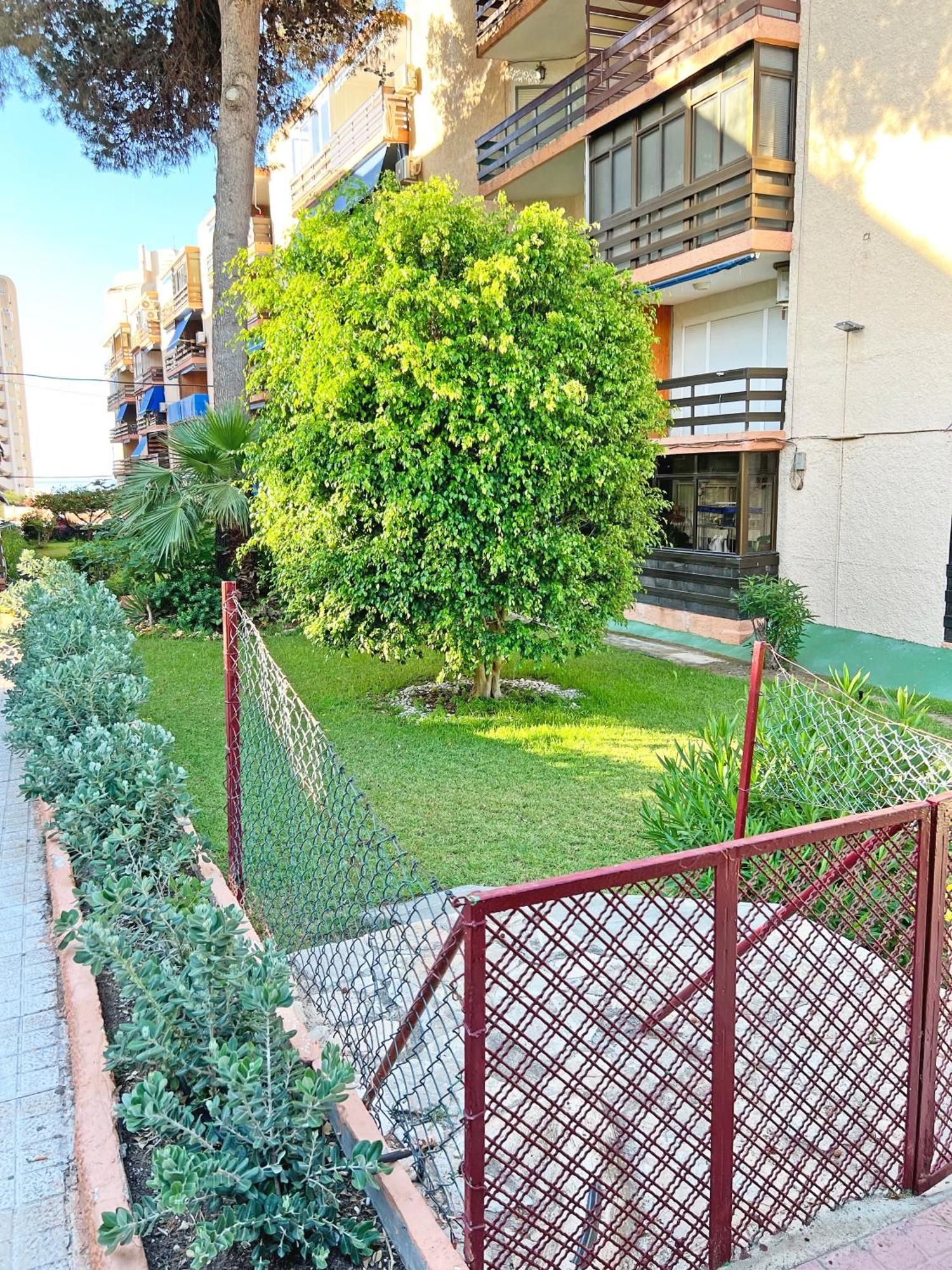 Appartement Coqueto Con Piscina, Nuevo A 50M Del Mar, Parking Gratis à El Campello Extérieur photo