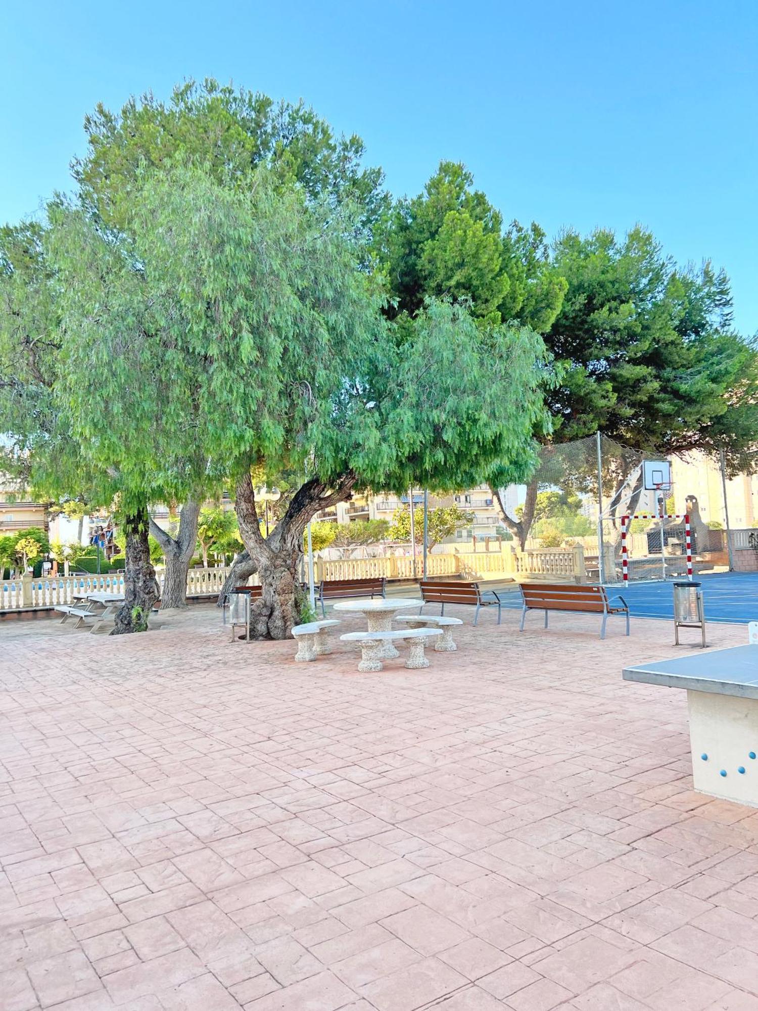 Appartement Coqueto Con Piscina, Nuevo A 50M Del Mar, Parking Gratis à El Campello Extérieur photo